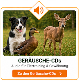 CD neu