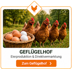 Gefluegel neu